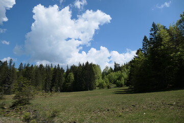 Rißsattel, vorderriss, bayern