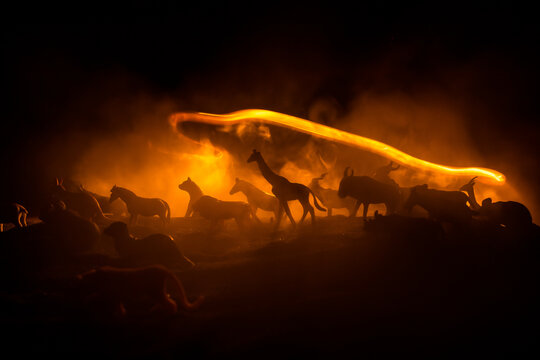 A group of animals are grouped together on a black background with glowing white rays. Animals range from an elephant, zebra, bear and rhino. Use it for a zoo or friends concept.