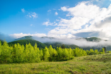 beautiful landscape of mountains in the fog near the forest and meadow. blue sky with clouds.