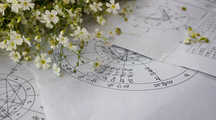 Printed astrology charts  with small, white, and fragile spring flowers in the background - obrazy, fototapety, plakaty