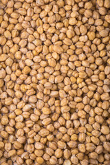dried chickpeas or grams soaked in water, also known as garbanzo beans or egyptian pea, long soaking beans overnight before cooking, closeup top down view