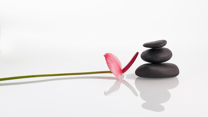 Zen concept balancing dark stones on mirrored background