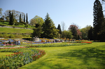 Bodensee, Insel Mainau im Frühling