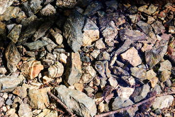 stones in creek 2