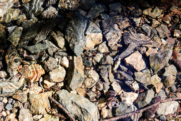 stones in creek