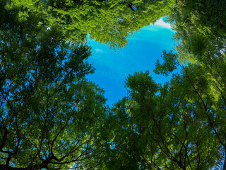 Fototapety na wymiar - Fototapeta24.pl