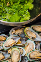 seafood
