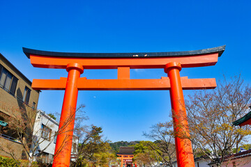 京都 伏見稲荷大社　青空に映える美しい朱色の鳥居(京都府京都市）Kyoto Fushimi Inari Taisha Shrine, beautiful vermilion torii gate that shines against the blue sky (Kyoto City, Kyoto Prefecture, Japan)
