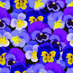seamless floral print with violas tricolor isolated on a black background