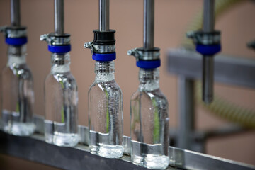 A row of glass bottles on a conveyor belt for the production of alcoholic beverages.
