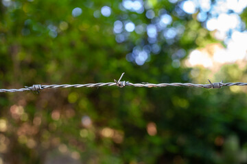 barbed wire fence