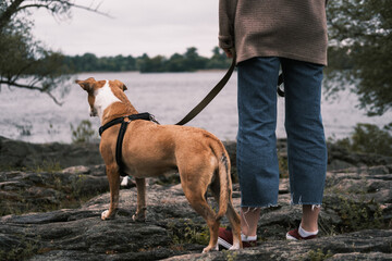 Woman and her dog stand next to each other on the rocks by the water