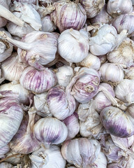 close up of garlic in a group, texture background.