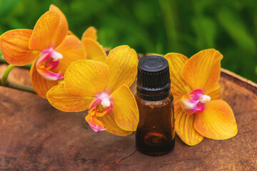 Massage oil and stones with yellow orchid. Natural oils.