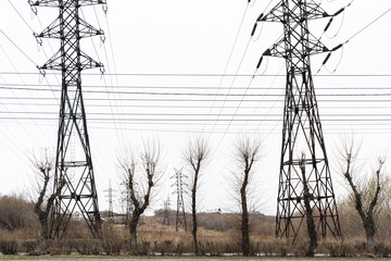 Electric city pole with gray sky and bare tree branches. High voltage pole.