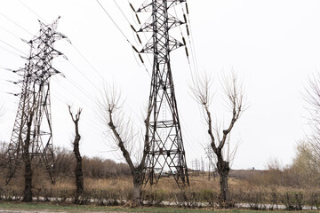 Electric city pole with gray sky and bare tree branches. High voltage pole.