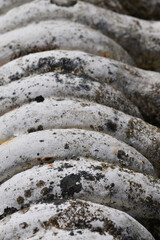 Macro image of a detail of the Bridge of Oich the Scottish Highlands