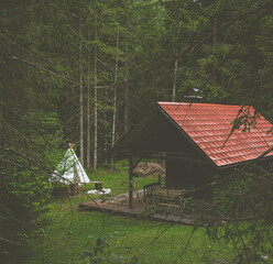 cabin in the woods Austria - Upper Austria - Salzkammergut