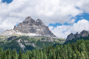 malerisches Alpental mit Tannen im Vordergrund