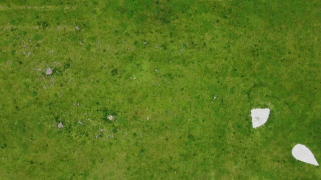 Top down aerial zoom in to the green grass field on a sunny day