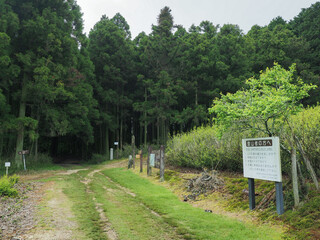 滋賀県 鈴鹿峠