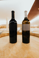 Fototapeta na wymiar Elegant black and white wine bottles in a luxury wine cellar. Copy space