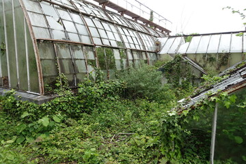 Serre &agrave; l'abandon