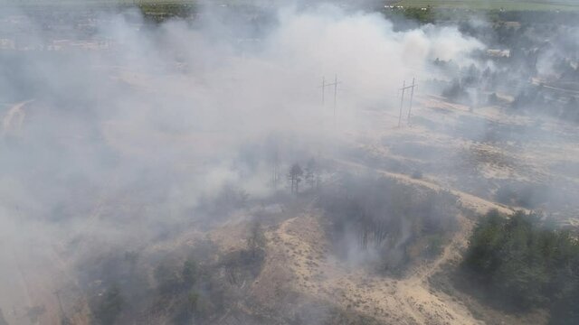 Fire in the forest. After extinguishing the fire. Trees are burning. Environmental protection. 