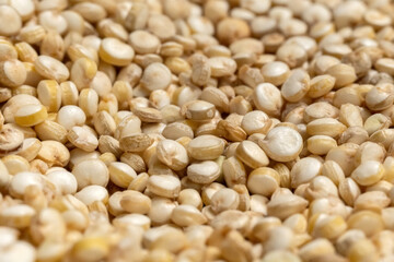 white quinoa seeds close-up macro selective focus. background texture