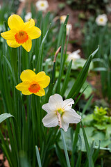 Printemps au Parc de Bercy