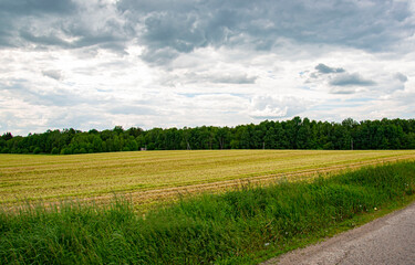 Obraz premium field and sky with clouds