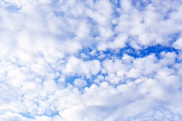 Clouds sky background with white volumetric foamy clouds in the blue sky. Many cumulus clouds. Background. copy space for text