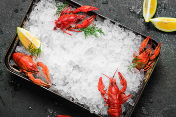 Fresh crayfish food on a black plate background. Red crayfish snack seafood with herb spices lemon rosemary and ice in the restaurant gourmet food healthy