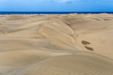 Plakat Sand dunes of Maspalomas, Gran Canaria