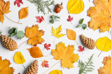 Fototapeta na wymiar Beautiful autumn composition on white background