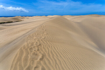 Sand dunes of Maspalomas, Gran Canaria