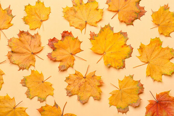 Naklejka na ściany i meble Maple leaves on color background