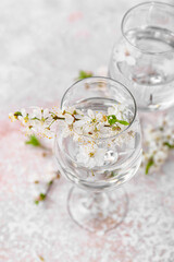 Glasses with water and blooming branches on grunge background