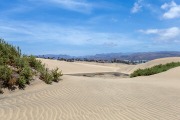 Sand dunes of Maspalomas, Gran Canaria