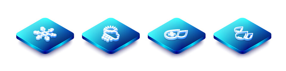 Set Isometric line Snowflake, Cloud with snow and sun, Water drop percentage and icon. Vector
