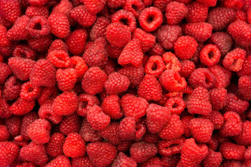 background raspberry. red berries.
