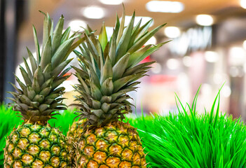 Pineapples against the background of a green grass. pineapple, ananas, pine. Concept fruit basis of...