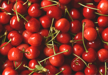 pile of organic red cherries - closeup