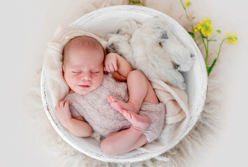 Newborn with kittens © tan4ikk