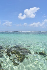La couleur de l'eau aux salines à la pointe des châteaux 
