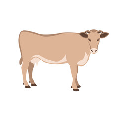 cow side view, vector illustration, flat