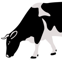cow side view, vector illustration, flat