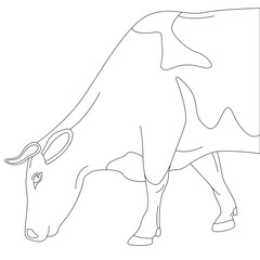 cow side view, vector illustration,  lining