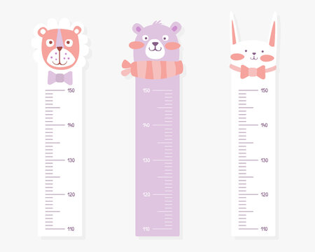 Kids Meter Wall with Cute Animals Set, Stadiometer for Little Children Vector Illustration