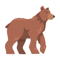 Side View of Brown Bear, Large Wild Predator Mammal Animal Cartoon Vector Illustration